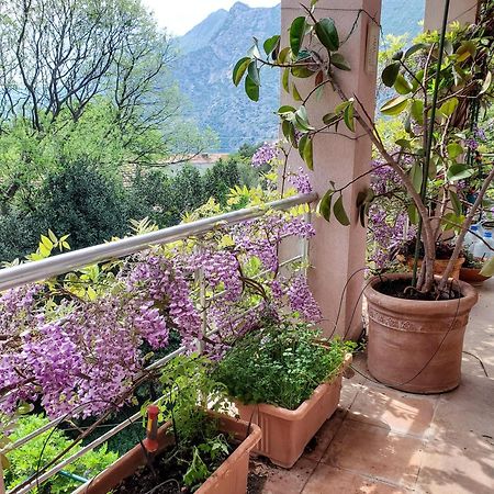 Ecohouse Risan Studio Εξωτερικό φωτογραφία