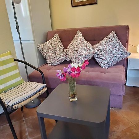 Ecohouse Risan Studio Εξωτερικό φωτογραφία
