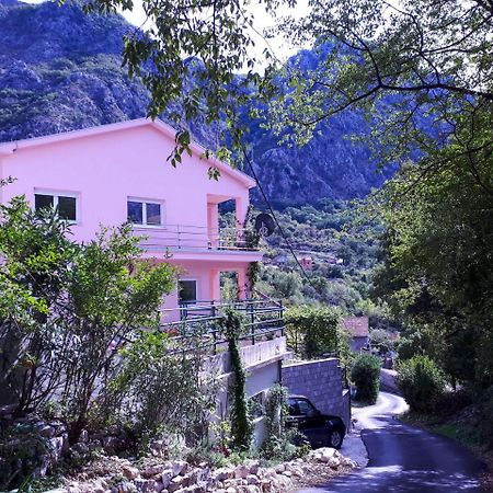 Ecohouse Risan Studio Εξωτερικό φωτογραφία
