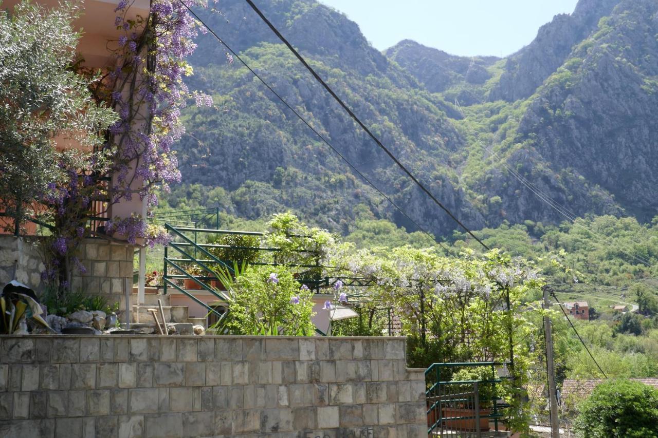Ecohouse Risan Studio Εξωτερικό φωτογραφία