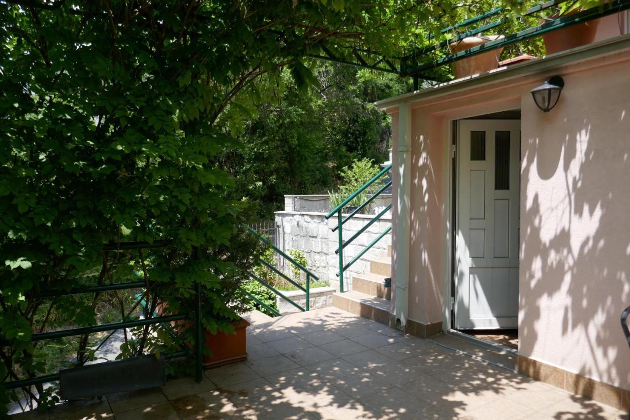 Ecohouse Risan Studio Εξωτερικό φωτογραφία