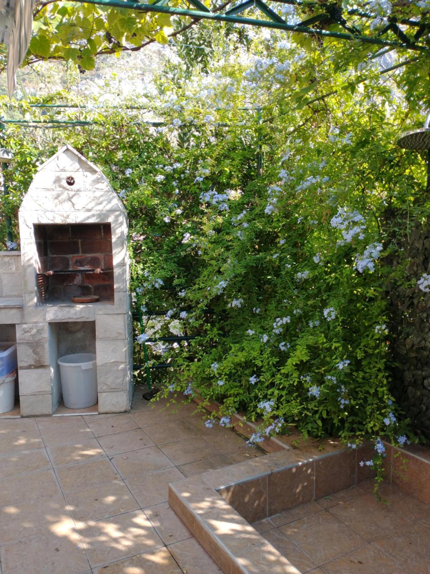 Ecohouse Risan Studio Εξωτερικό φωτογραφία