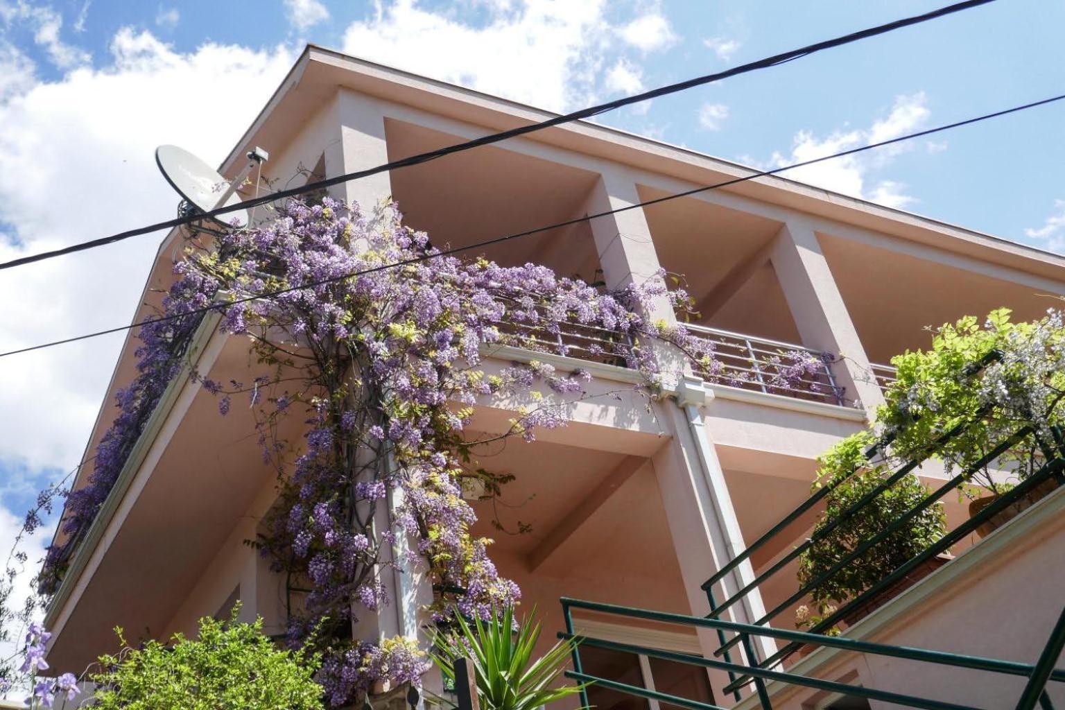 Ecohouse Risan Studio Εξωτερικό φωτογραφία