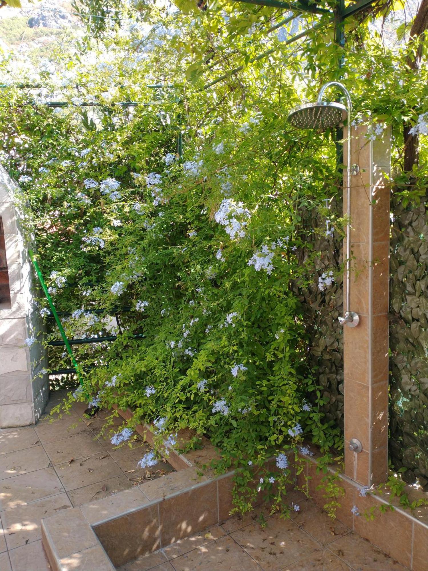 Ecohouse Risan Studio Εξωτερικό φωτογραφία