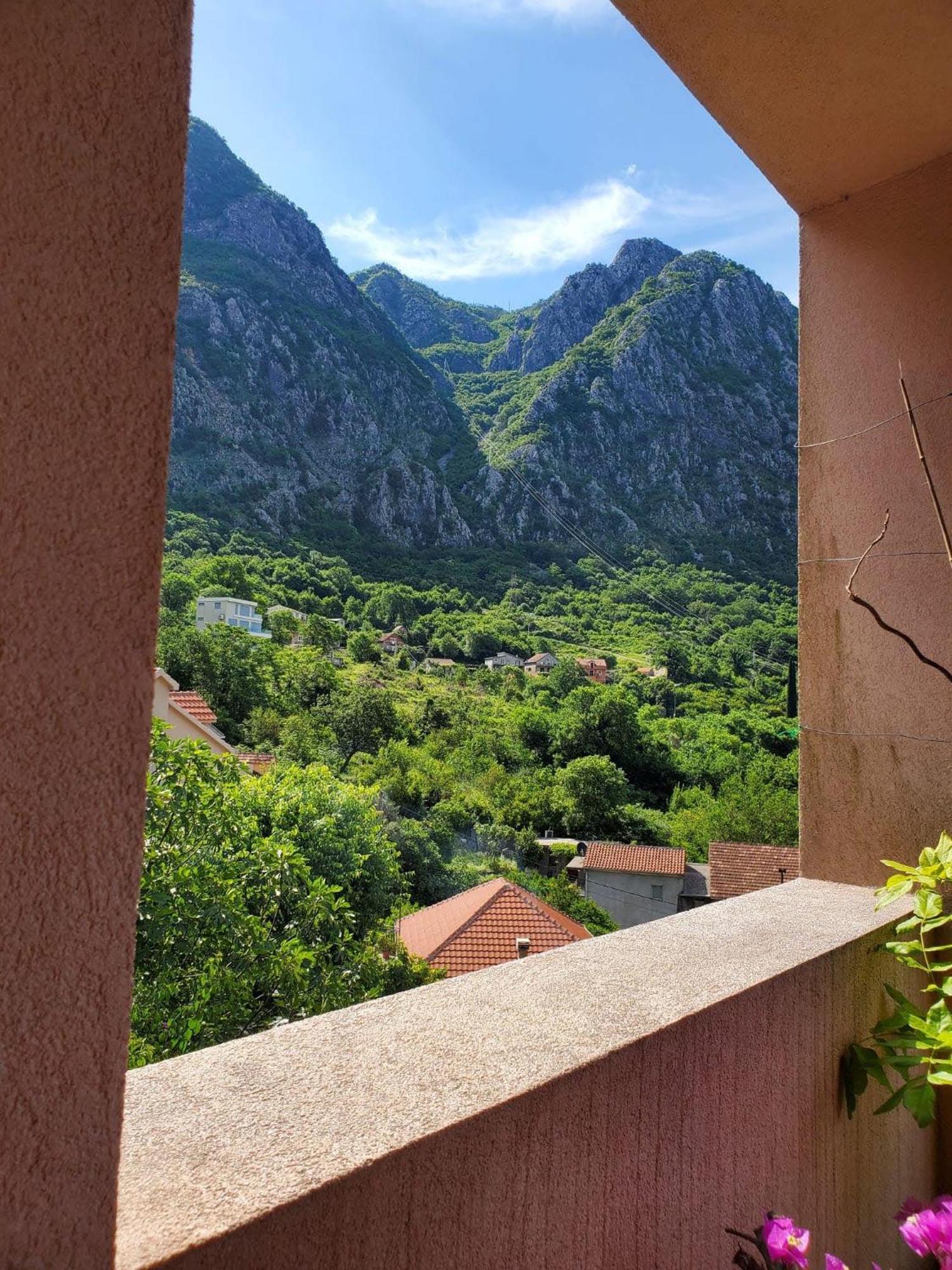 Ecohouse Risan Studio Εξωτερικό φωτογραφία