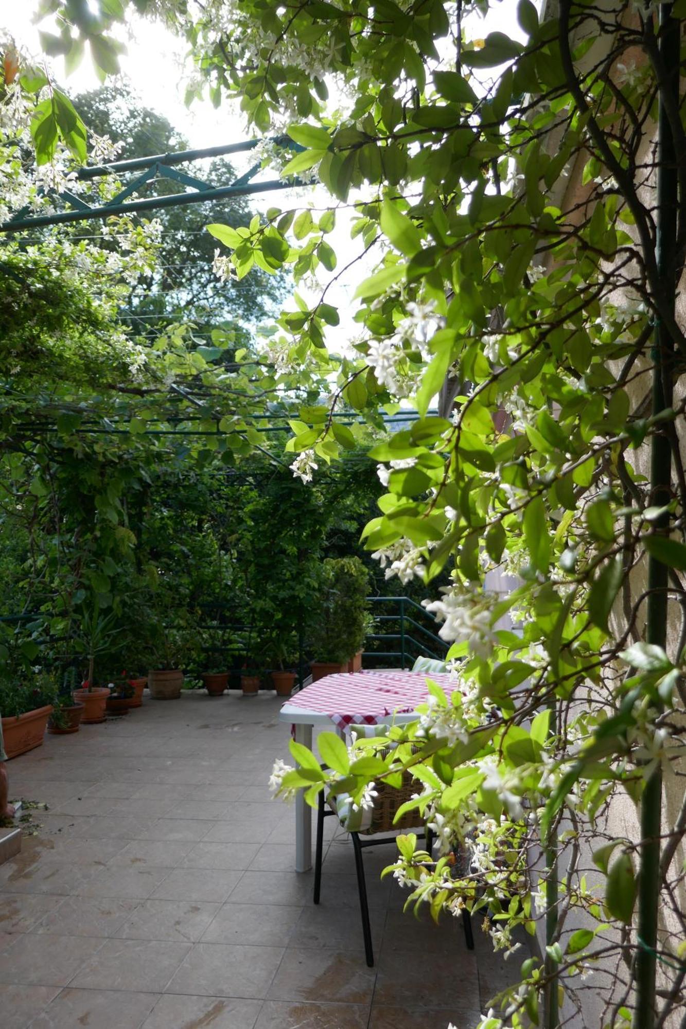 Ecohouse Risan Studio Εξωτερικό φωτογραφία