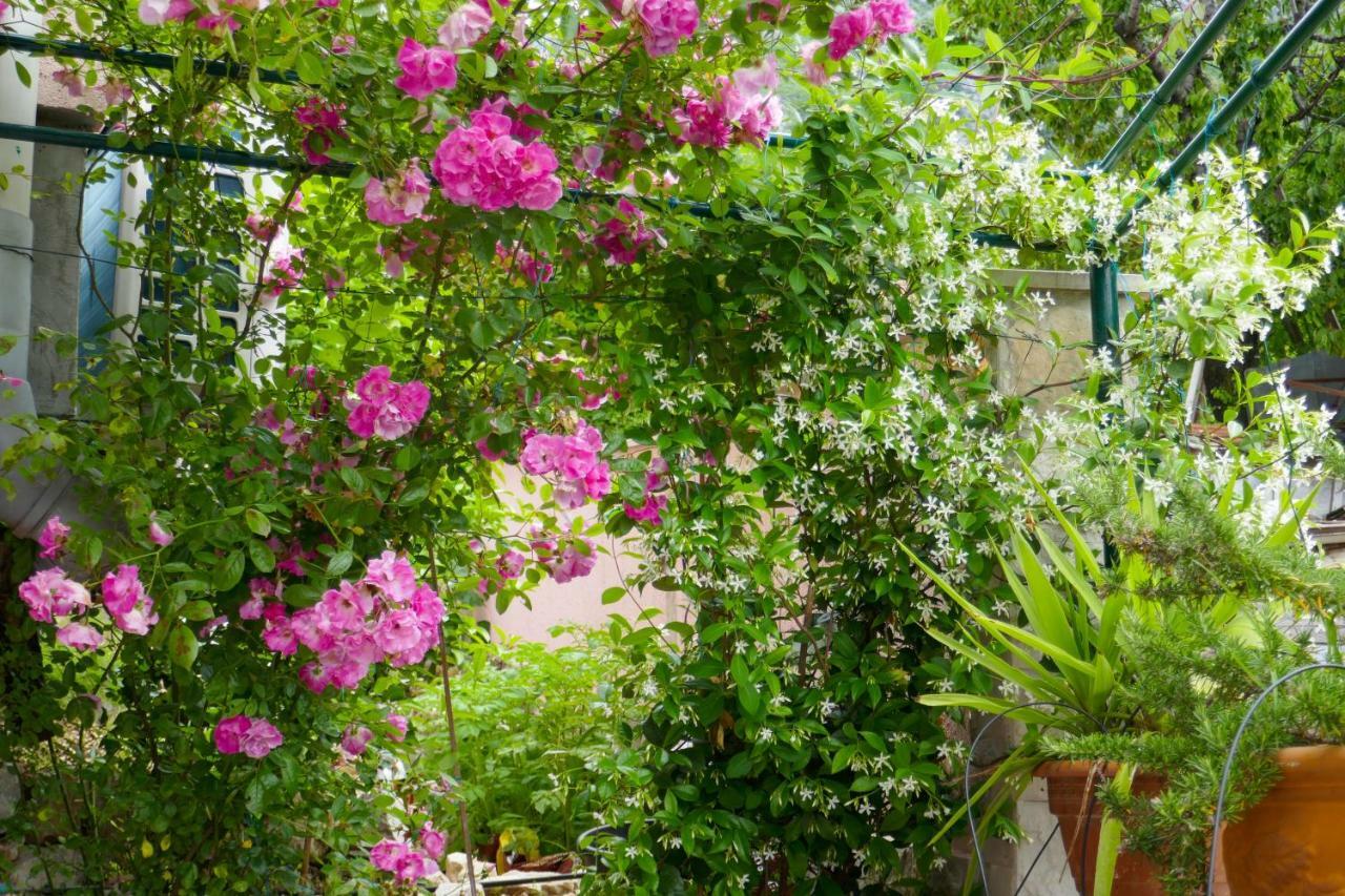 Ecohouse Risan Studio Εξωτερικό φωτογραφία